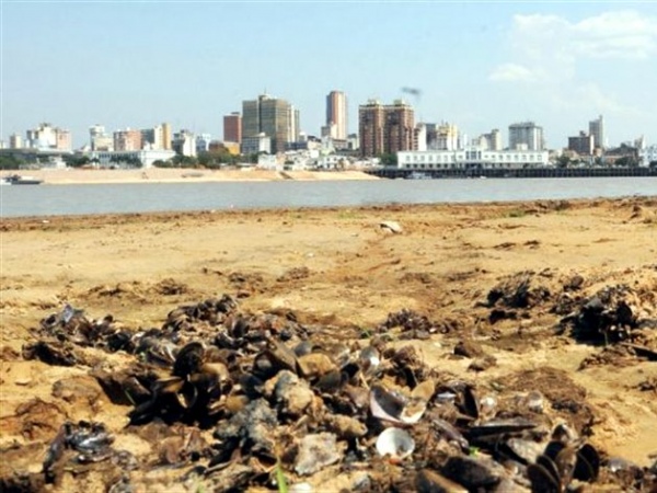 aun-no-se-debe-pagar-costo-a-navieras-por-bajo-caudal-de-rio-paraguay-y-parana